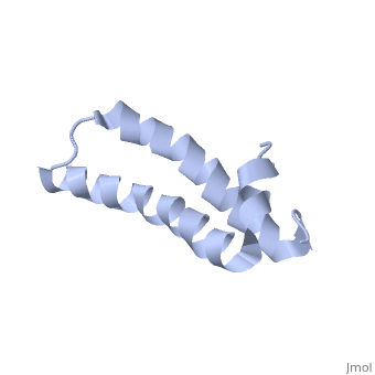 Greiner 96 well TC treated plate black uclear with lid sterile - PK32