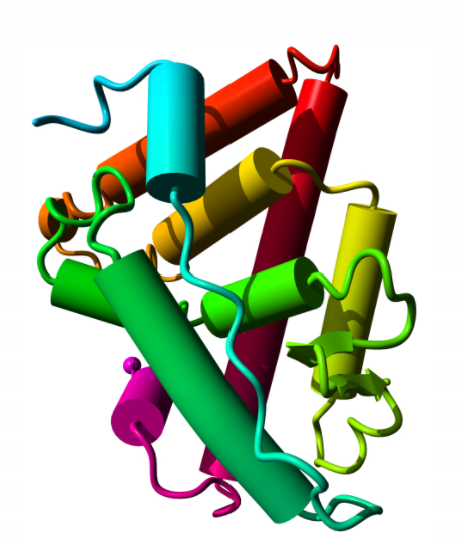 Human Breast CAFs, 1,000,000 cells