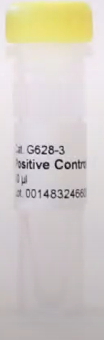 Antibody
